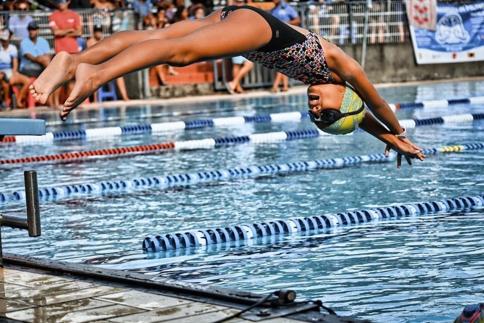 Plongeon